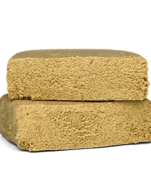 Natural Suit Orange Cream